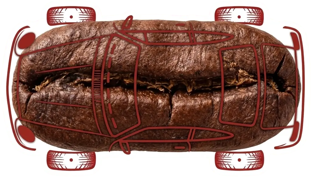 Coffee Bean Guide